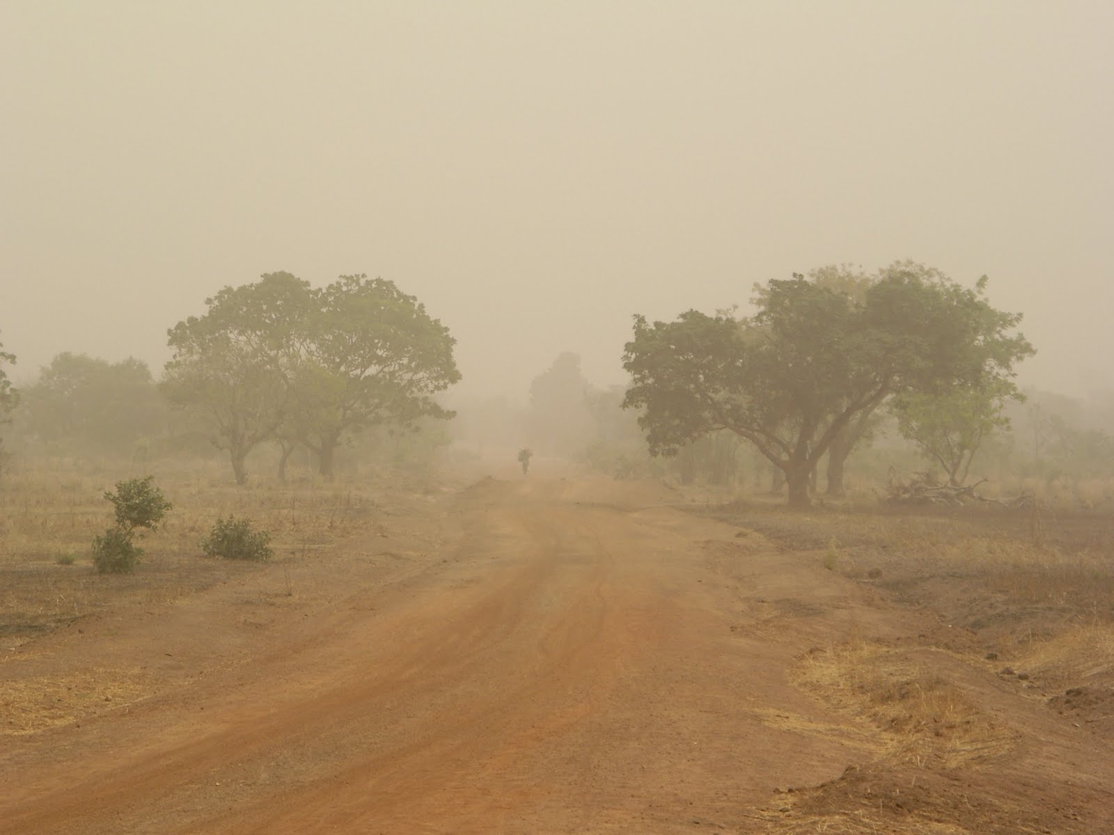 Harmattan: Un pneumologue donne des précautions pour éviter ...