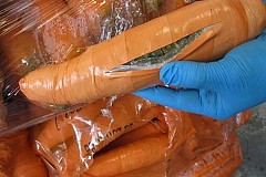 De la marijuana dissimulée dans de fausses carottes