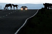 Russie: Un haut-fonctionnaire aurait volé et revendu 50 kilomètres de route