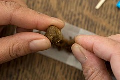 France: Le détenu cachait du cannabis dans ses béquilles France: Le détenu cachait du cannabis dans ses béquilles