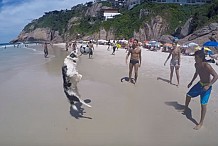 (Vidéo) Un chien participe à une « brésilienne » sur une plage de Rio