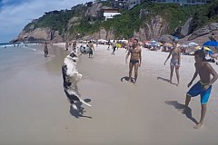 (Vidéo) Un chien participe à une « brésilienne » sur une plage de Rio (Vidéo) Un chien participe à une « brésilienne » sur une plage de Rio