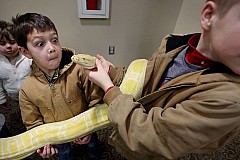 Calais: Un python de trois mètres retrouvé dans un sac Calais: Un python de trois mètres retrouvé dans un sac