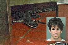 Etats-Unis: Il jette un alligator dans un fast-food pour «faire une blague» à un copain
