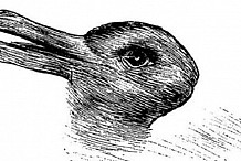 Voyez-vous un canard ou un lapin sur ce dessin?