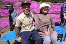 Japon : Il plante des milliers de fleurs pendant 10 ans pour consoler sa femme aveugle

