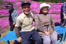 Japon : Il plante des milliers de fleurs pendant 10 ans pour consoler sa femme aveugle

