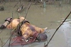 Agboville : Un écolier découvert mort dans le fleuve Agnéby
Agboville : Un écolier découvert mort dans le fleuve Agnéby
