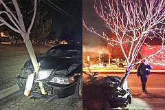 (Vidéo) Ivre, elle roule avec un arbre planté dans le capot de sa voiture