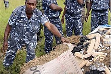 Bonoua : 24 tonnes de drogue découvertes dans un camion accidenté