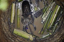(Photos) Inde : Des villageois sauvent un léopard de la noyade