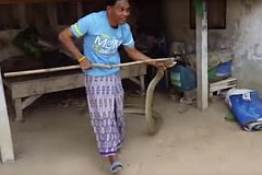 Thaïlande : Il capture un serpent de 5 mètres sous son lit Thaïlande : Il capture un serpent de 5 mètres sous son lit