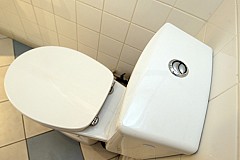 Royaume-Uni: Un Musée national du caca va ouvrir ses portes vendredi
Royaume-Uni: Un Musée national du caca va ouvrir ses portes vendredi