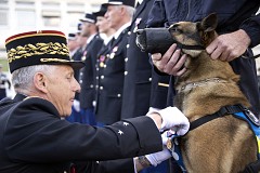 Choc, un chien policier, reçoit une médaille pour 
