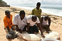 Côte d’Ivoire: Rituels de 