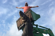 (Photos) Un alligator géant abattu par un chasseur en Floride 
