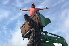 (Photos) Un alligator géant abattu par un chasseur en Floride 
