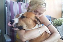 Espagne : Elle tue son mari et laisse le chien dévorer ses restes
