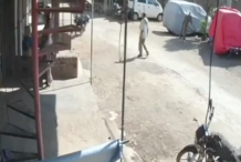 (Vidéo) Agressé par un singe en pleine rue 