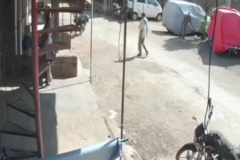 (Vidéo) Agressé par un singe en pleine rue (Vidéo) Agressé par un singe en pleine rue