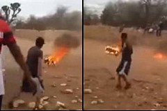(Vidéo) Mexique: Ils allument des feux d'artifice accroché à un chien


