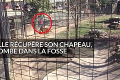 (Vidéo) Etats-Unis : Elle descend dans la fosse du tigre pour récupérer son chapeau (Vidéo) Etats-Unis : Elle descend dans la fosse du tigre pour récupérer son chapeau