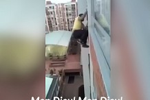 (Vidéo) Colombie : Il risque sa vie au douzième étage d'un immeuble pour sauver un chien coincé sur un balcon