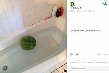 A cause d'Internet, des gens jettent des pastèques et des ficus dans leur baignoire