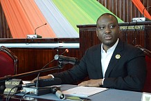 Le président du Parlement ivoirien préconise une mutualisation 