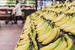 Allemagne : Un supermarché évacué à cause d'une araignée venimeuse dans les bananes
