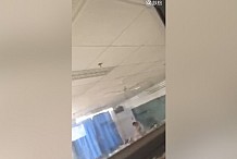 (Vidéo) Un professeur filmé en pleine relation sexuelle avec l’une de ses élèves 