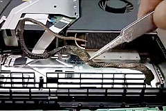 (Vidéo) Il découvre un serpent en réparant une PS4
