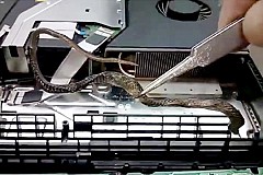 (Vidéo) Il découvre un serpent en réparant une PS4
(Vidéo) Il découvre un serpent en réparant une PS4