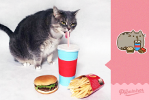 Une chatte «obèse» imite les stickers Pusheen