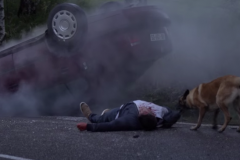 (Vidéo) Un chien sauve la vie de son maître après un accident de voiture 