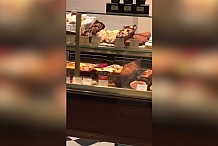 (Vidéo) Paris – Des rats se promènent tranquillement dans la vitrine d’une boulangerie Paul 
