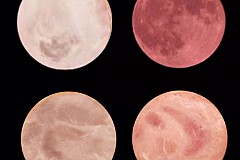 Serez-vous capable de différencier la lune et du jambon?