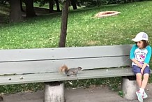 Un écureuil aide une petite fille à perdre sa dent de lait