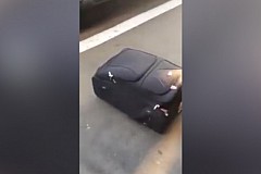 Des douaniers suisses font une incroyable découverte dans une valise (vidéo)