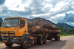 Aboisso/ Collision entre des grumiers et un autre camion: un apprenti coupé en deux Aboisso/ Collision entre des grumiers et un autre camion: un apprenti coupé en deux