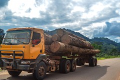 Aboisso/ Collision entre des grumiers et un autre camion: un apprenti coupé en deux