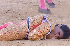 Il meurt encorné par un taureau en direct à la télévision (vidéo) Il meurt encorné par un taureau en direct à la télévision (vidéo)