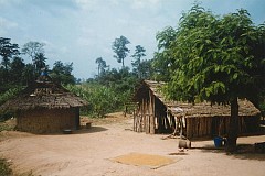 Bangolo/ Refusant de mourir: Un vieux sorcier échange sa vie contre celle du fils unique de sa sœur