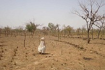 Sept pays africains dont la Côte d'Ivoire bénéficient de fonds pour faire face au changement climatique
