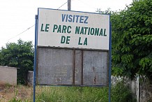 La Côte d’Ivoire veut protéger ses parcs et ses réserves