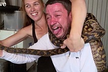 Un python étrangle un homme qui voulait l’attraper (vidéo)