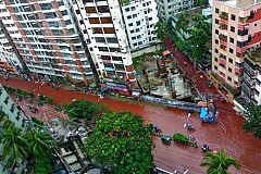 Bangladesh: La capitale inondée par le sang de bêtes sacrifiées Bangladesh: La capitale inondée par le sang de bêtes sacrifiées