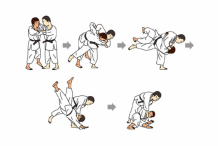 Palabre en plein Parlement Polonais: un député applique un technique de Judo, il est félicité par la Fédération du judo