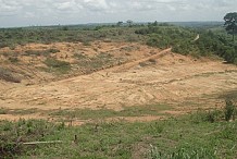 Vente illicite de terres et de plantations: le phénomène prend de l’ampleur
