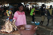 
La viande de brousse, de retour dans les assiettes ivoiriennes
